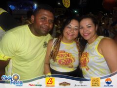 Bloco Skol Folia